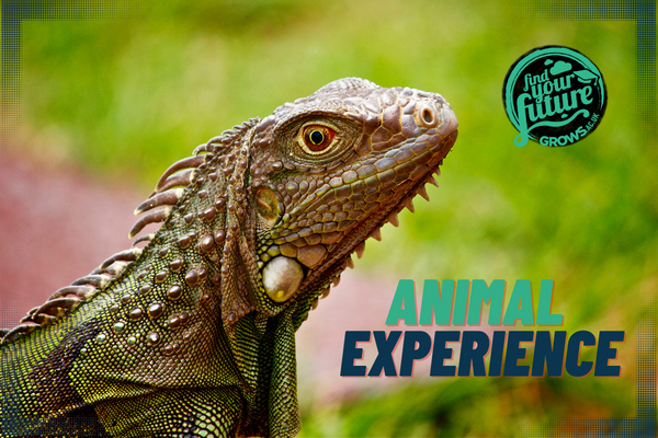 ****Animal Science Experience 2022****Applications for this event are closed