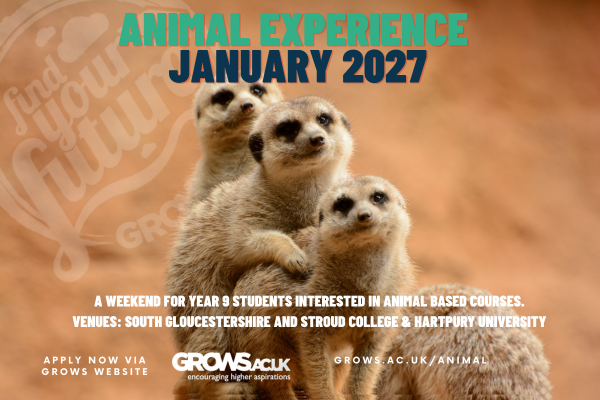Animal Experience Weekend 2027
