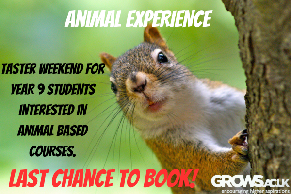 Animal Experience 2024 - APPLICATIONS NOW CLOSED