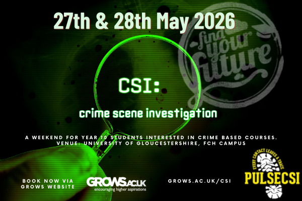 CSI Experience 2026